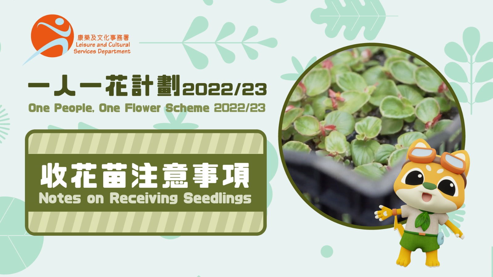 Notes on Receiving Seedlings
