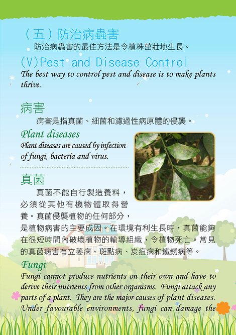 Pests and Diseases Control in Plants1