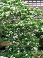 照片6 : 按下放大照