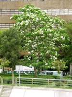 照片7 : 按下放大照