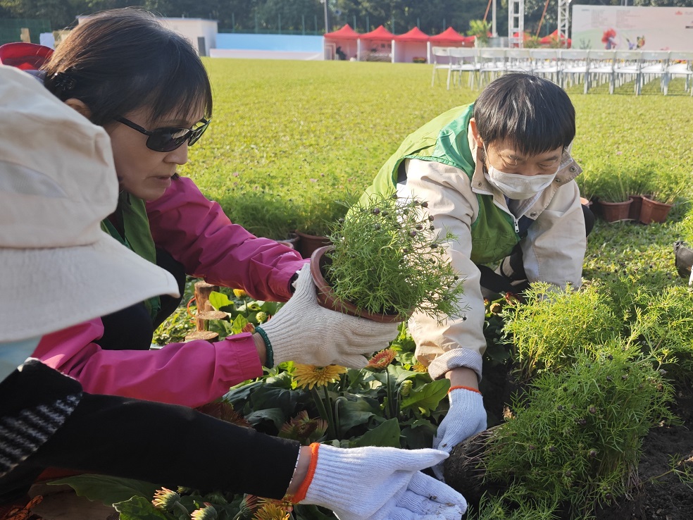 Photos of Voluntary Services and Training