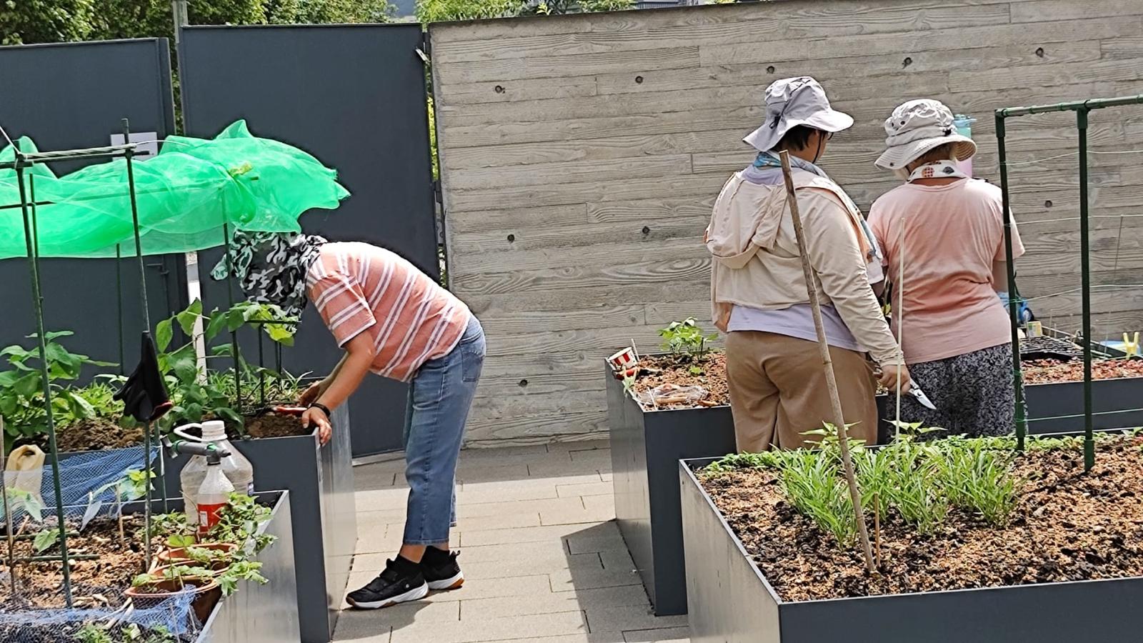 Locations of Community garden 1