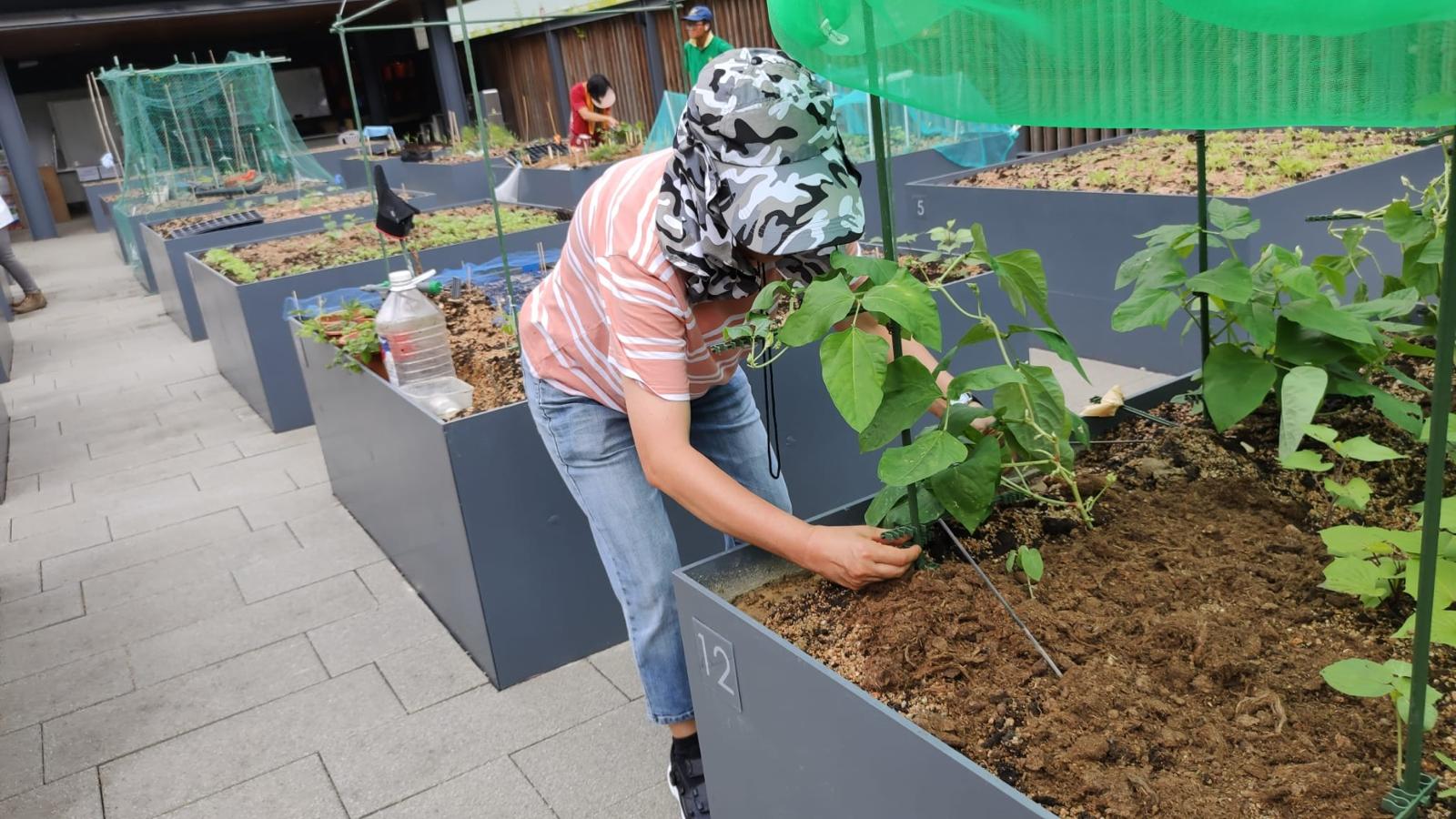 Locations of Community garden 2