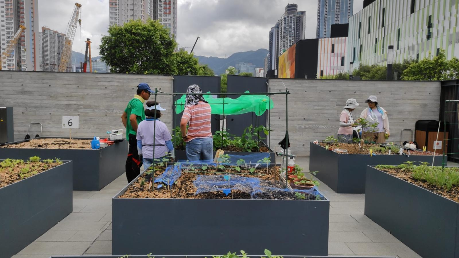 Locations of Community garden 3