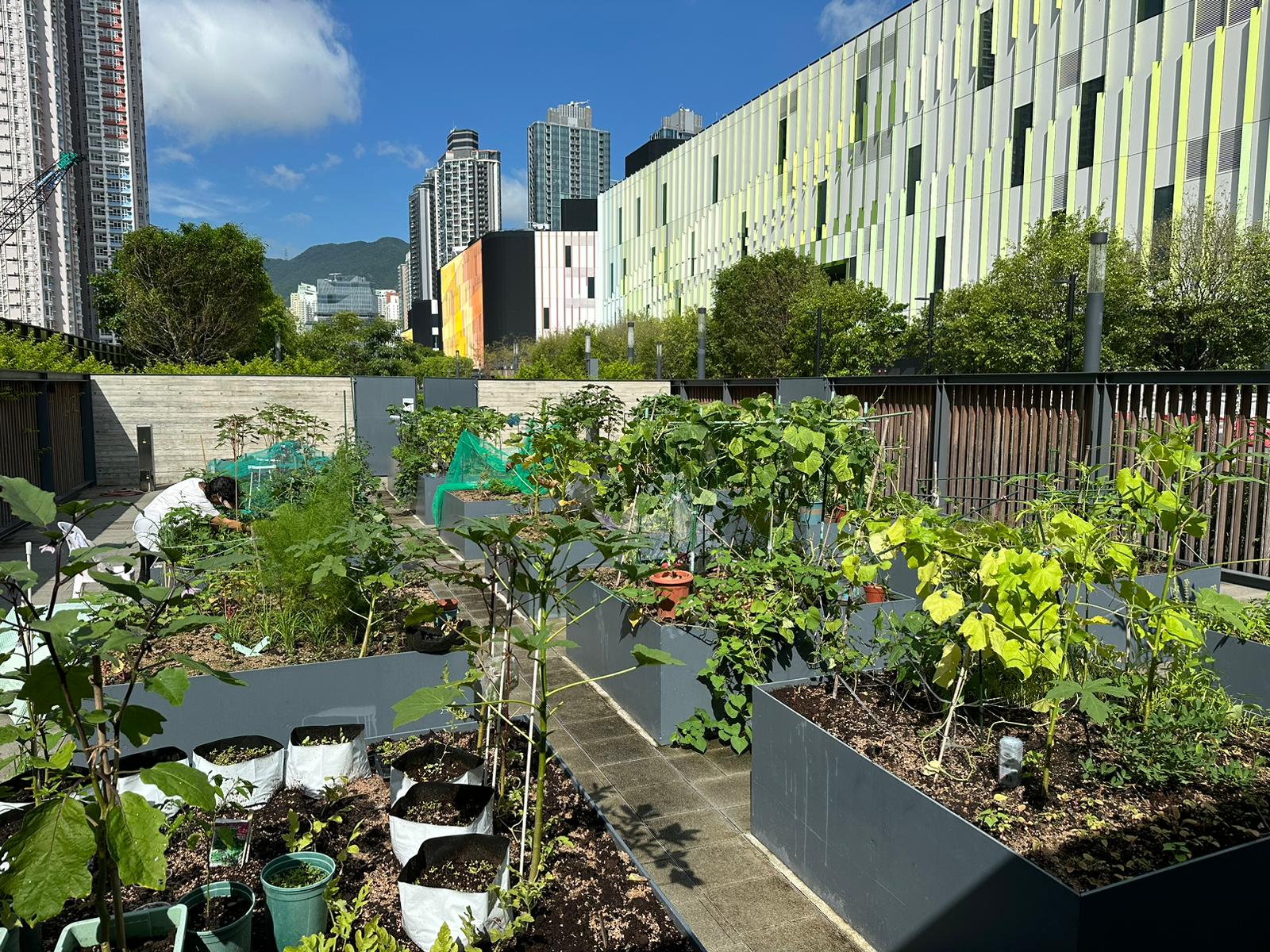 Locations of Community garden 4