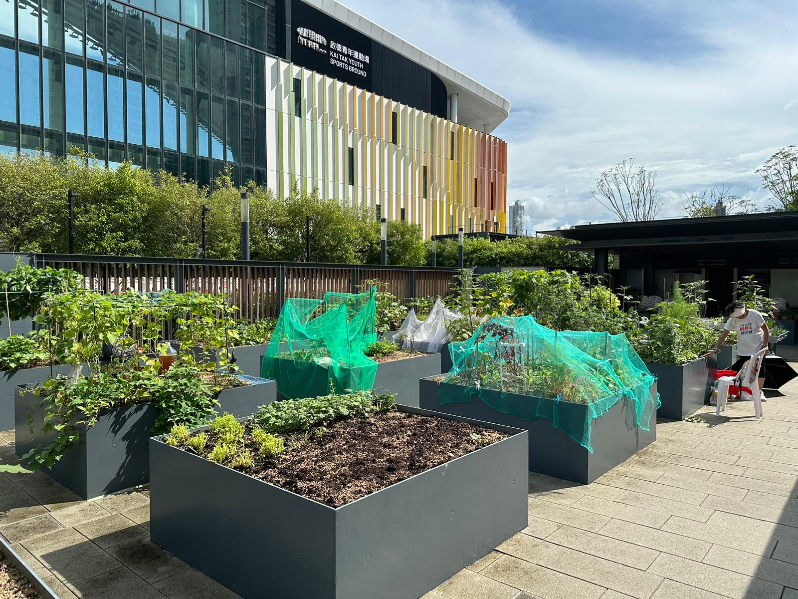 Locations of Community garden 6