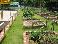 Locations of Community garden 1