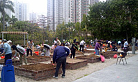 Tsing Tin Playground Community Garden 2
