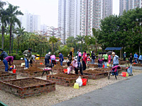 Tsing Tin Playground Community Garden 3