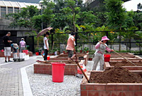 Sai Kung - Sheung Ning Playground Community Garden 5