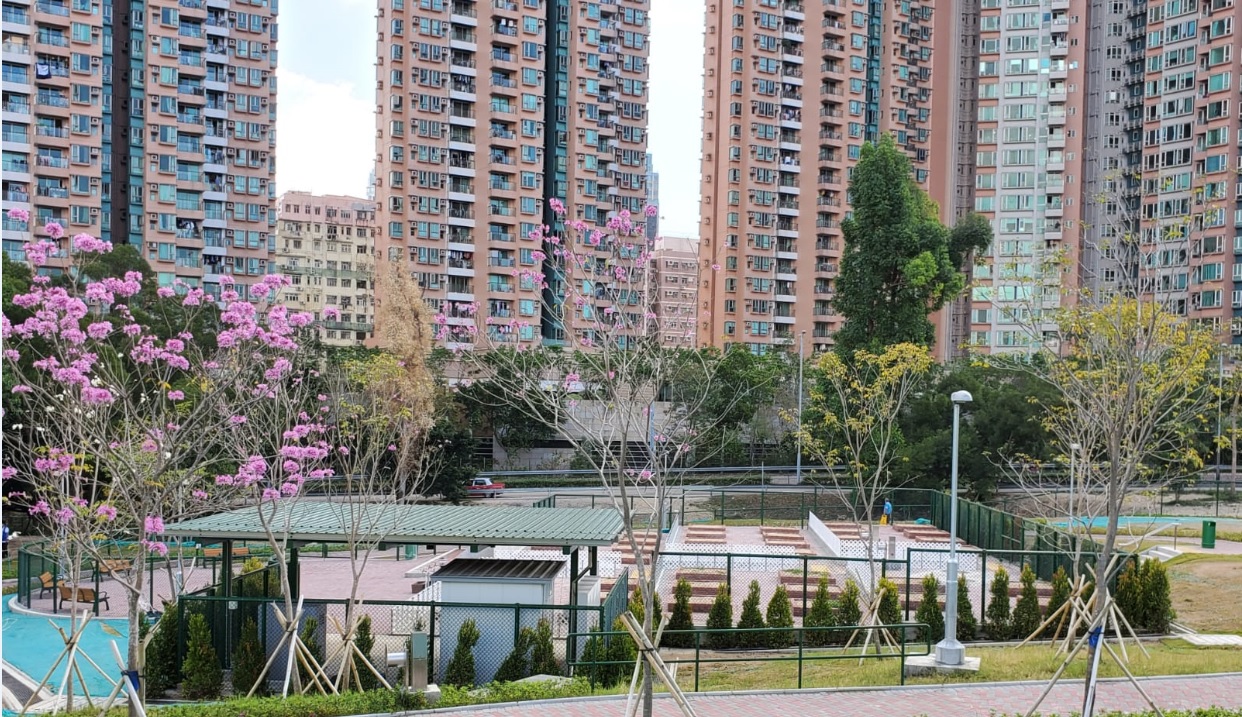 Nam Cheong Park Community Garden1