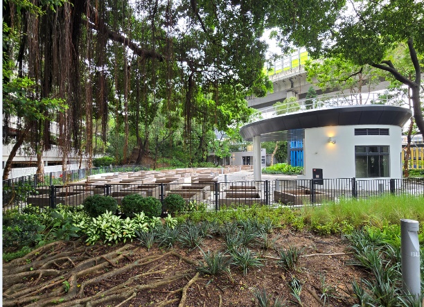 荃灣海濱公園社區園圃 1