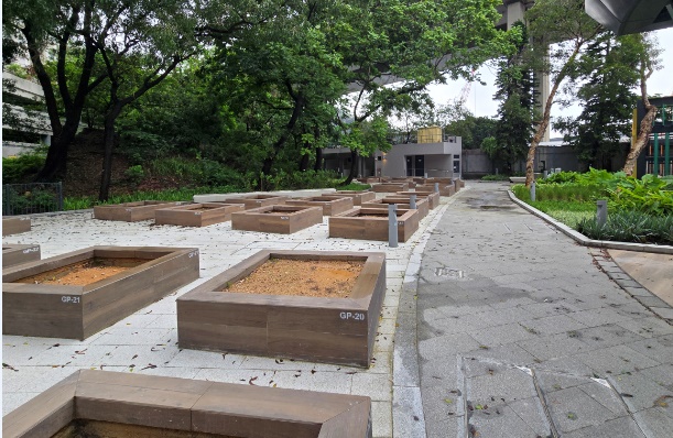 荃灣海濱公園社區園圃 3
