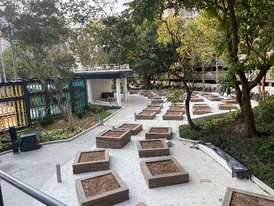 荃灣海濱公園社區園圃 4