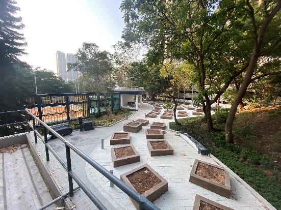荃灣海濱公園社區園圃 6