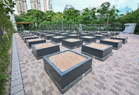 社區園圃及種植研習班 35