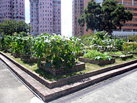 Locations of Community garden 2