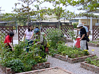 Locations of Community garden 1