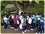 Guided Visits to Kowloon Park
