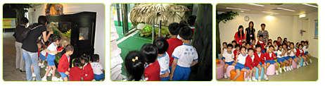 Guided Visits to Tuen Mun Park (Reptile House)