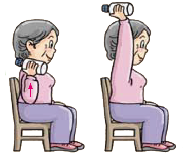 Fitness Exercise For the Elderly