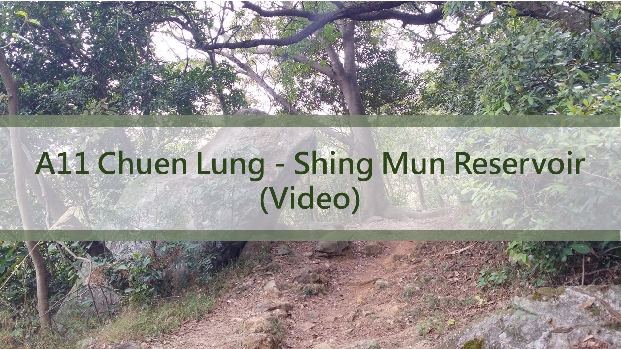A11 Chuen Lung - Shing Mun Reservoir
