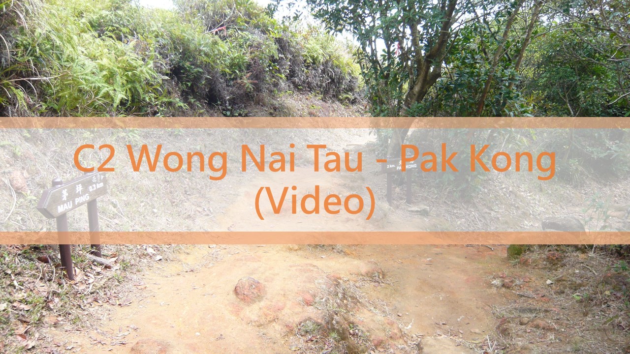 C2 Wong Nai Tau - Pak Kong
