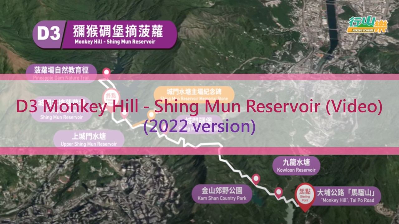 D3 Monkey Hill - Shing Mun Reservoir