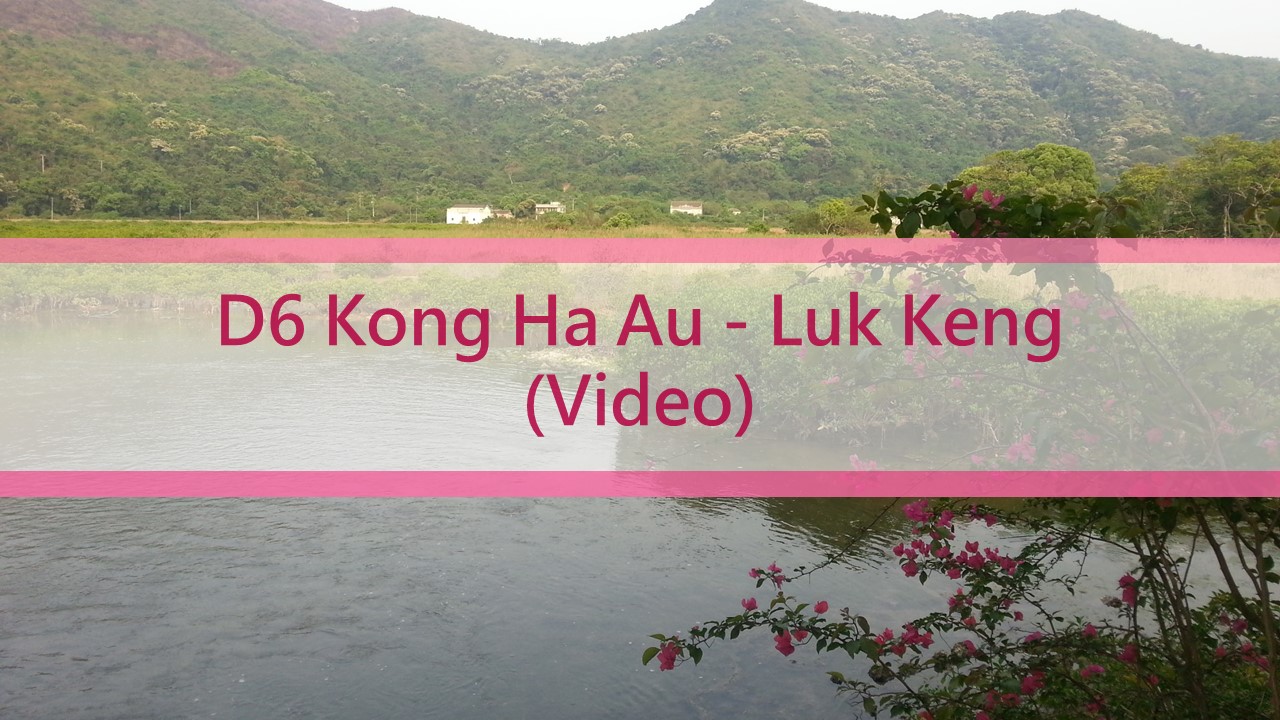 D6 Kong Ha Au - Luk Keng