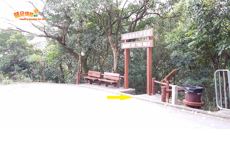 Proceed to the Quarry Bay Tree Walk via Mount Parker Road