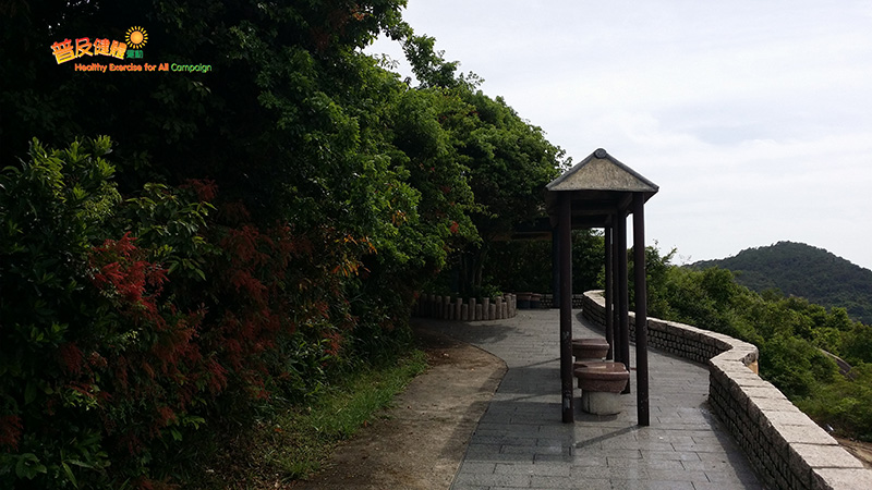 Shelter and bench
