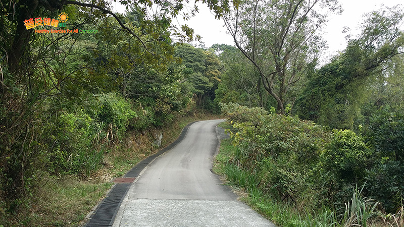 Walk uphill along Chuen Lung Forest Track