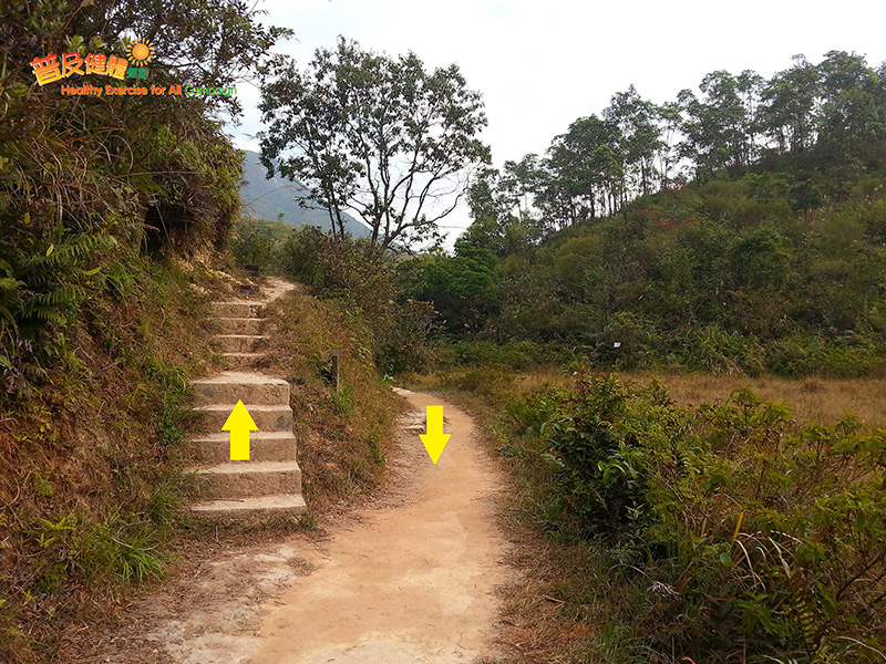 往三椏村的路徑交匯處