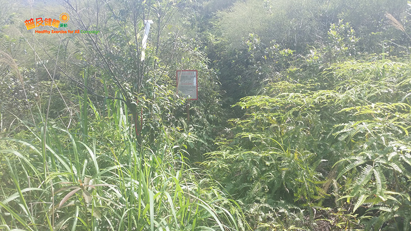 往吊燈籠的警告牌