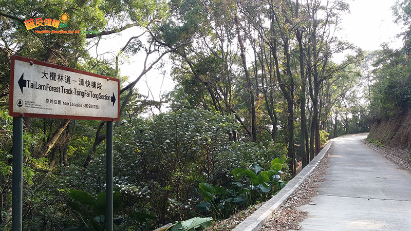 Tai Lam Forest Track - Tsing Fai Tong Section