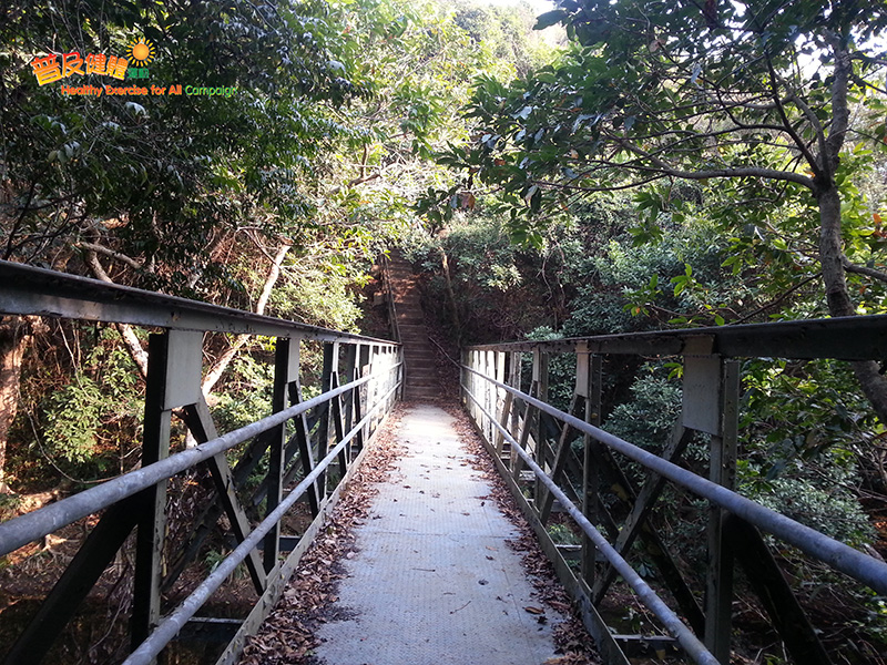 Cross the bridge and proceed to the forest track