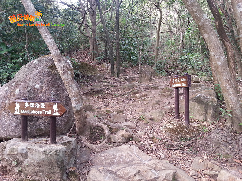 Proceed to MacLehose Trail and turn left