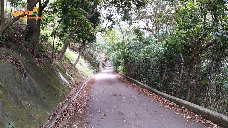 Downhill path