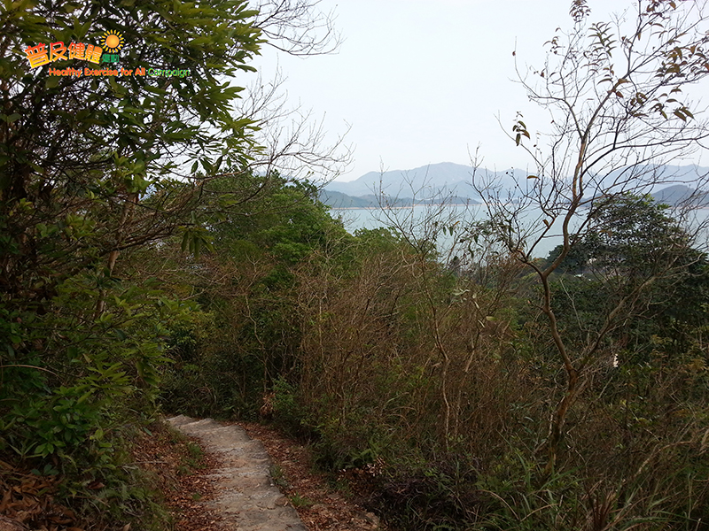 Walk along Pat Sin Leng Nature Trail