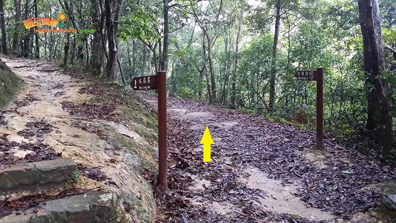 Walk along Cheung Sheung Country Trail on the right at the junction