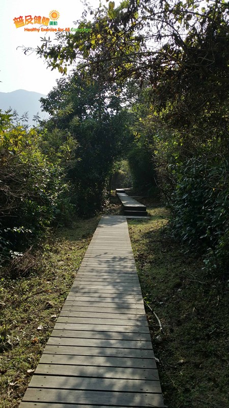 Walk along wooden path