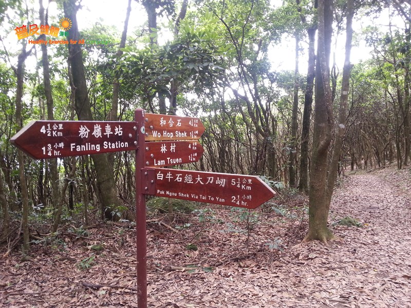 The junction to Lam Tsuen and Tai To Yan