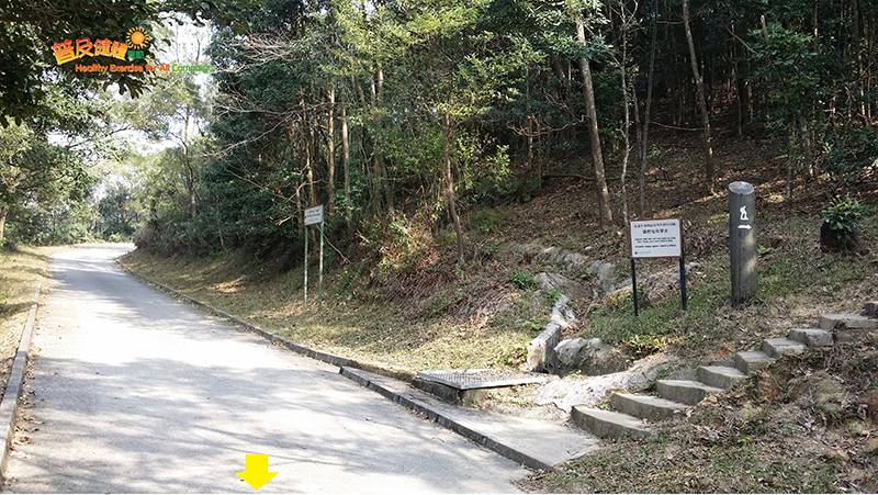 Proceed to MacLehose Trail