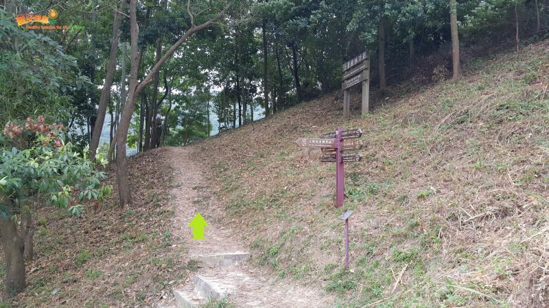 Turn left into Tai Lam Chung Country Trail