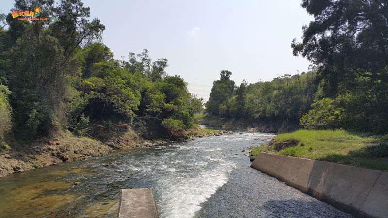 大欖涌水塘建於一九五一年