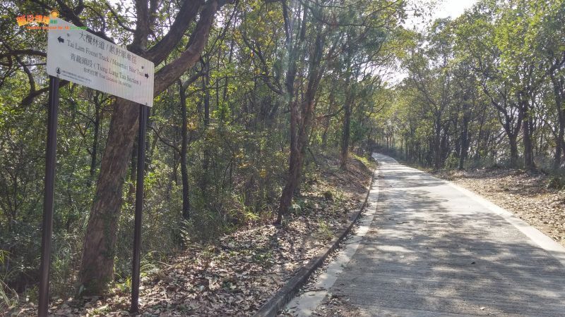 Tai Lam Forest Track, also used as a mountain bike trail