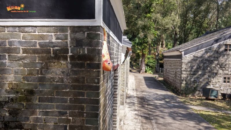 屋頂的雨水由魚口流出