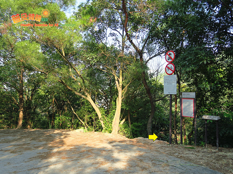 Walk down the steps to Lam Tei Reservoir