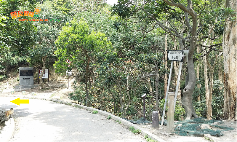 Continue along Kam Shan Road (Section 6 of MacLehose Trail)