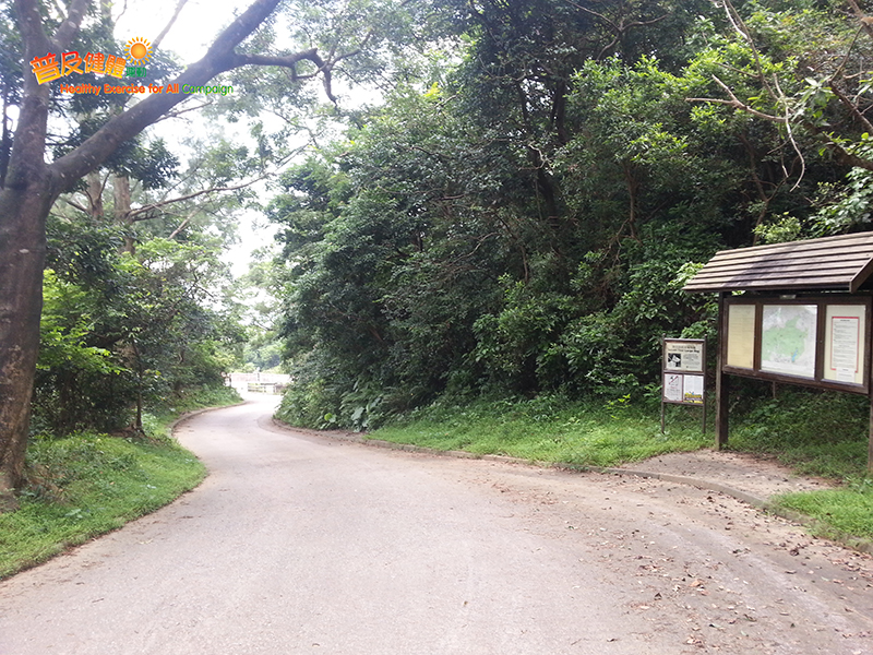 Shing Mun Forest Track